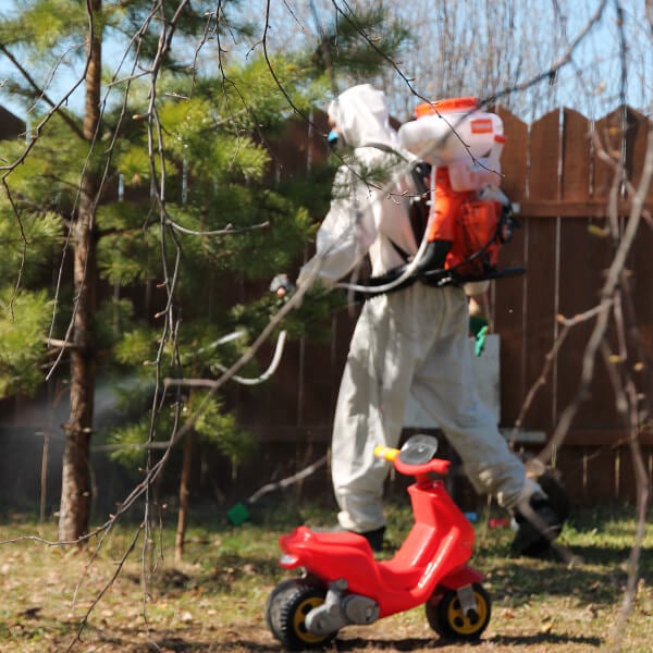 Обработка участка от клещей в Пскове?